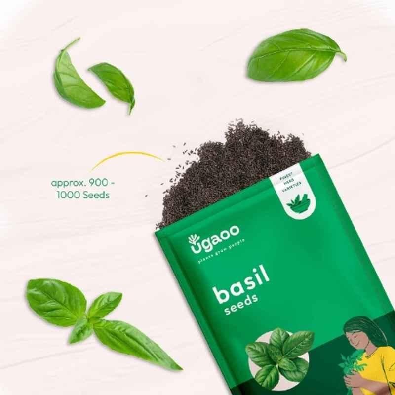 Ugaoo 25g Vegetable Italian Basil Seeds, NUHSO007 - Image 2