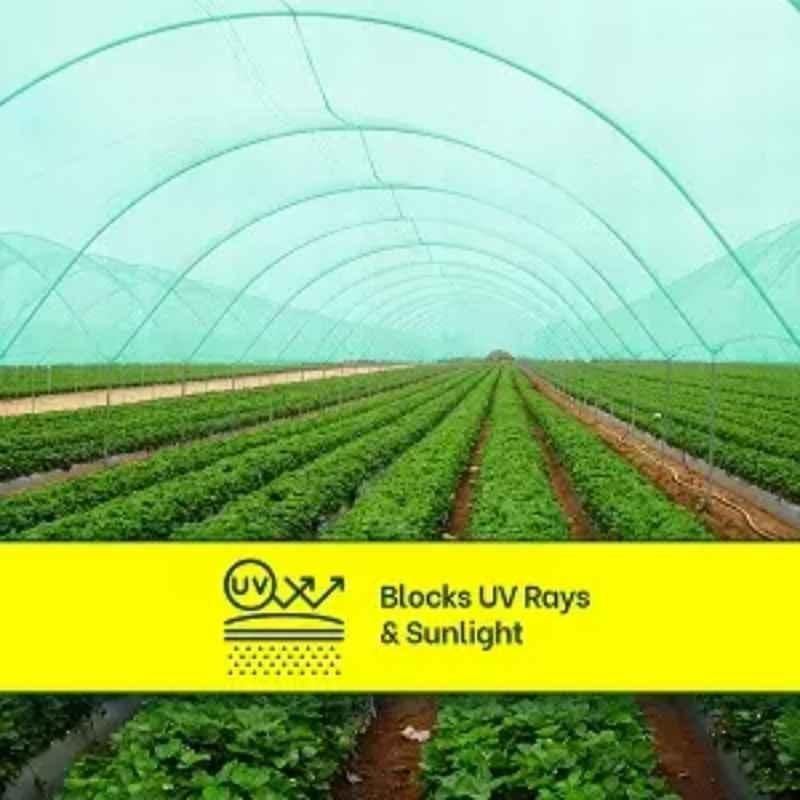 Mipatex 5x50m 75% HDPE Multi-Purpose Green Garden Net Shade - Image 3