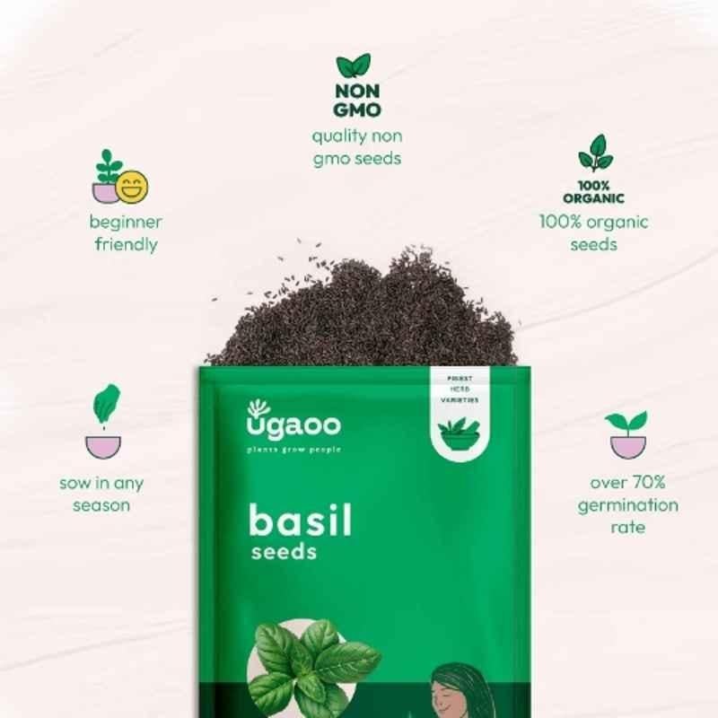 Ugaoo 25g Vegetable Italian Basil Seeds, NUHSO007 - Image 5