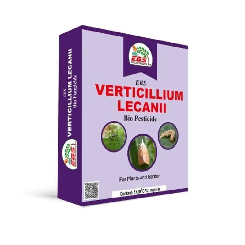EBS 1kg Verticillium Lecanii Bio Pesticide for Control Aphid & Whiteflies (Pack of 5)