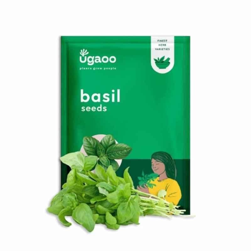 Ugaoo 25g Vegetable Italian Basil Seeds, NUHSO007